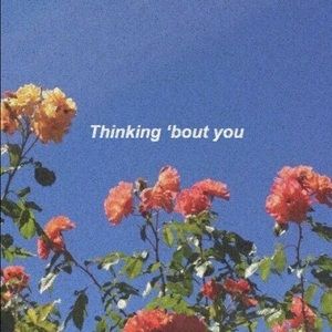 Meet your Posher, Lisette